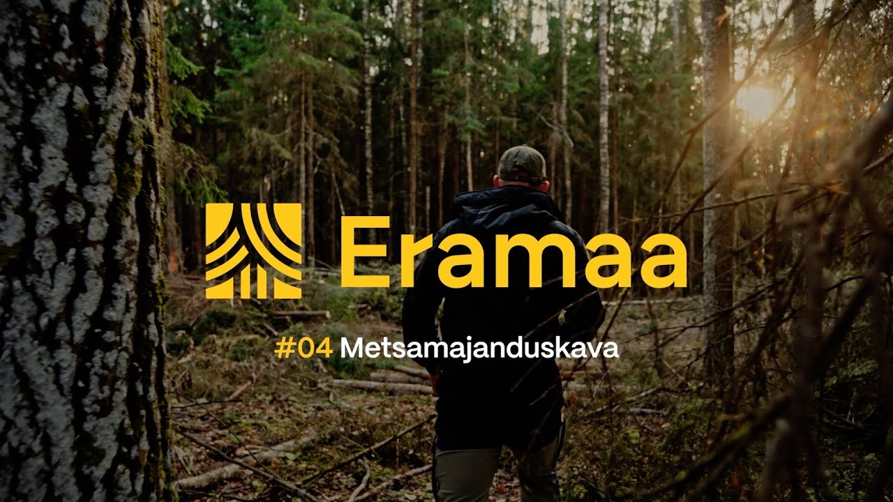 Eramaa - Metsamajanduskava