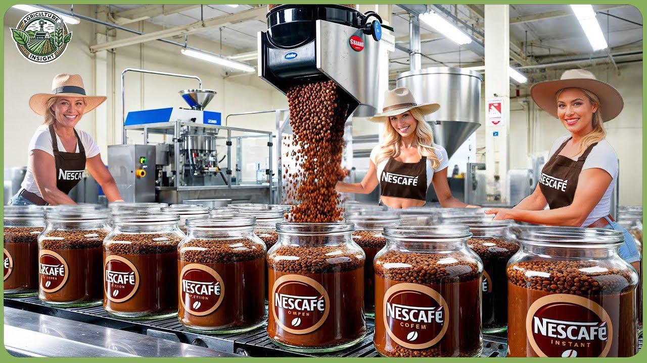 How Nescaf&eacute; Instant Coffee Are Made - Insane Coffee Processing in Factory