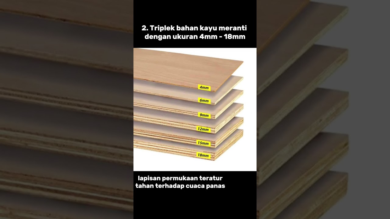 jenis dan ukuran triplek #triplek #wood #trendingshorts