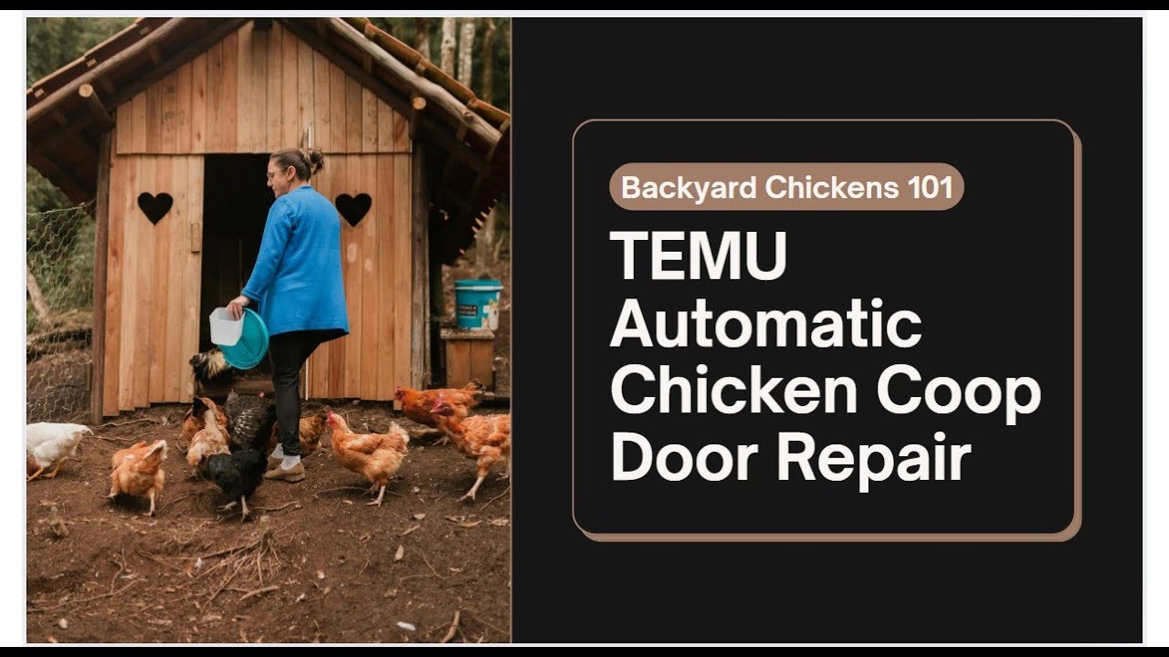 TEMU AUTOMATIC CHICKEN COOP DOOR REPAIR!