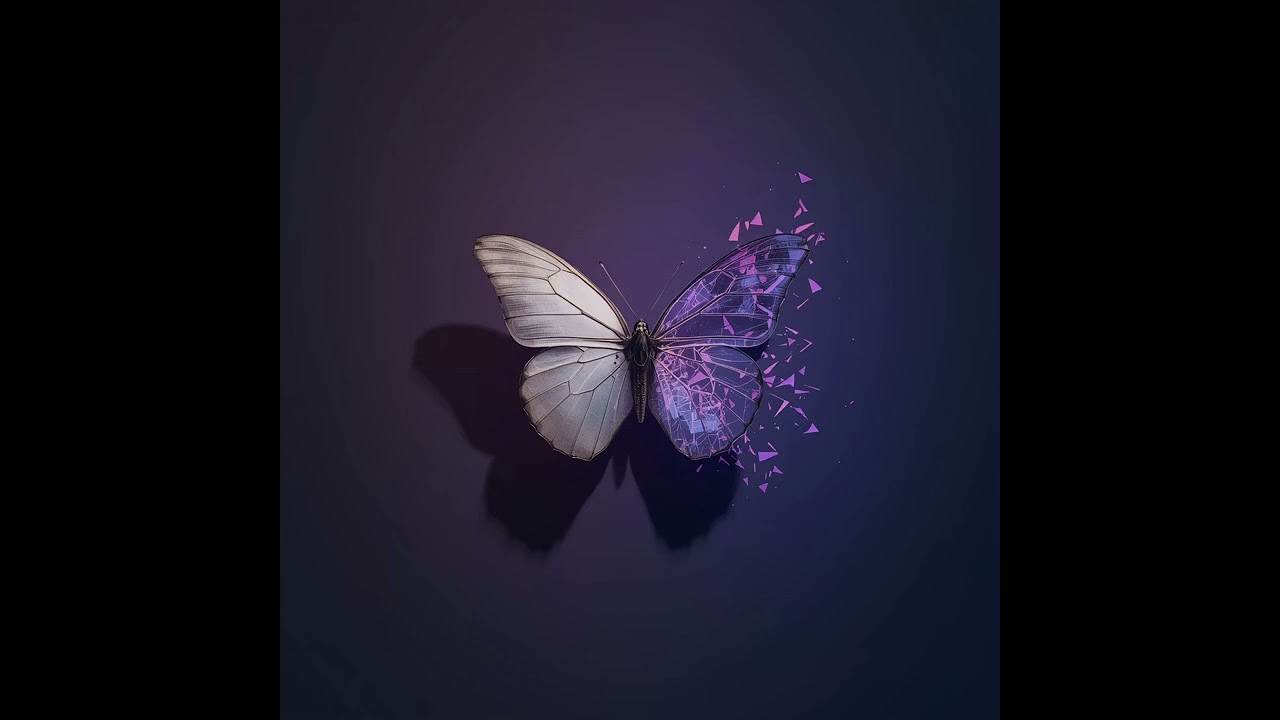 《 Butterfly Effect 》