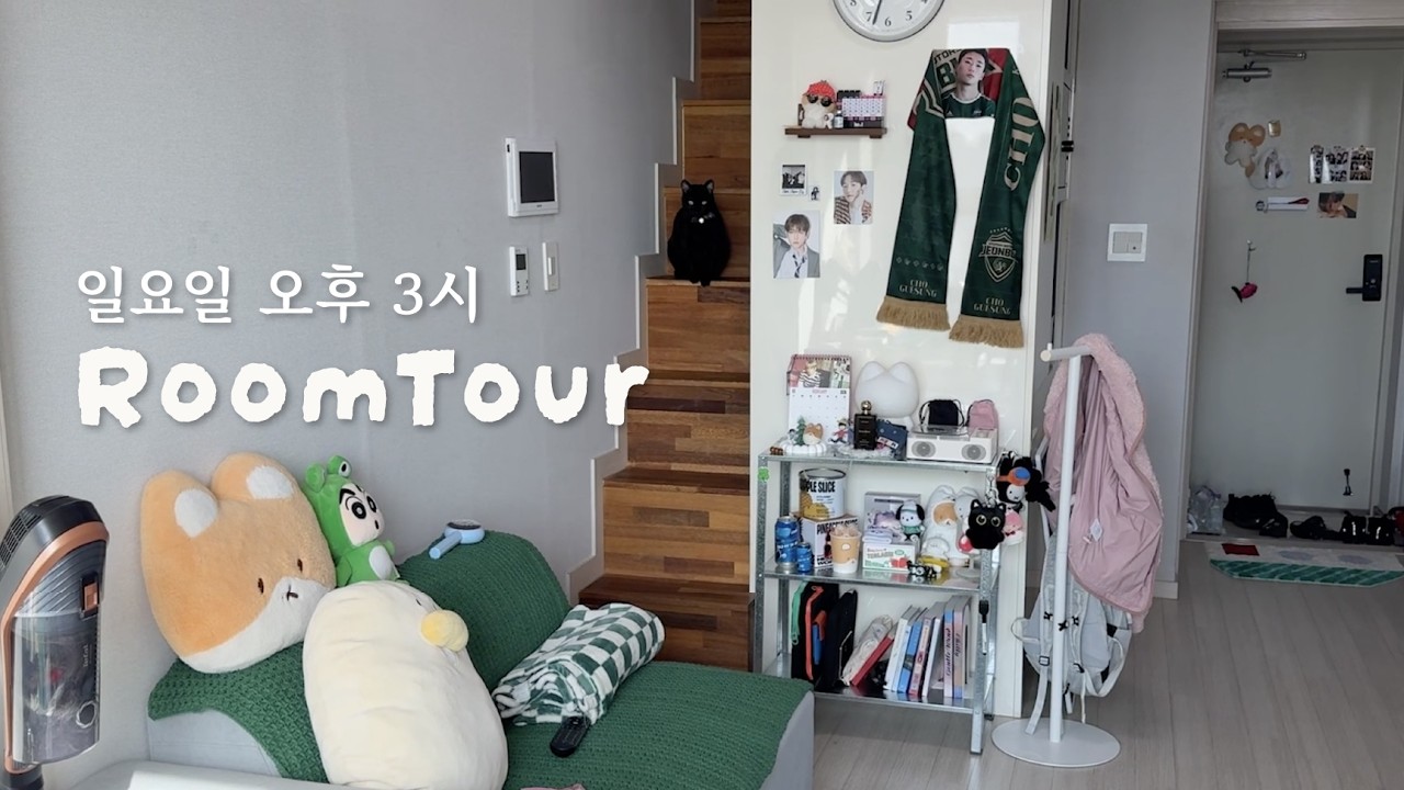 소품팀 출신 00년생이 꾸민 완벽한 복층 원룸 펫테리어 🏠 + 회사냥이 구조 스토리🌙  룸투어 + 광고 없는 추천템 ｢ 밥은 멍고 다니냥 ｣