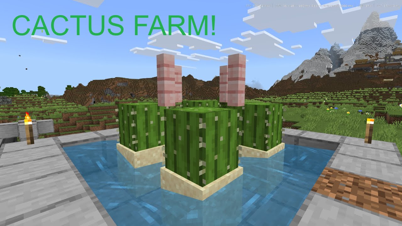 building a cactus farm for the Minecraft world