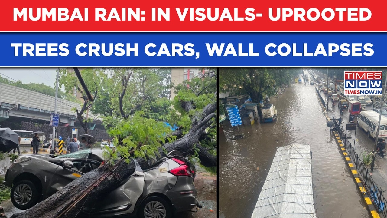 Mumbai Rain: In Visuals- Uprooted Trees Crush Cars, Wall Collapses As Overnight Downpour Halts City