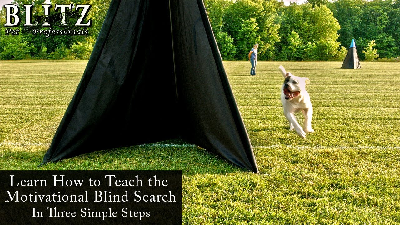 The Motivational Blind Search