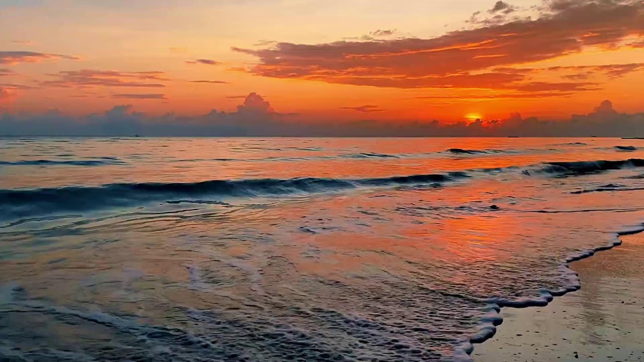 LIVE Ocean Whisper 🌊 Soft Wave ASMR for Sleep, Focus & Stress Relief 24/7