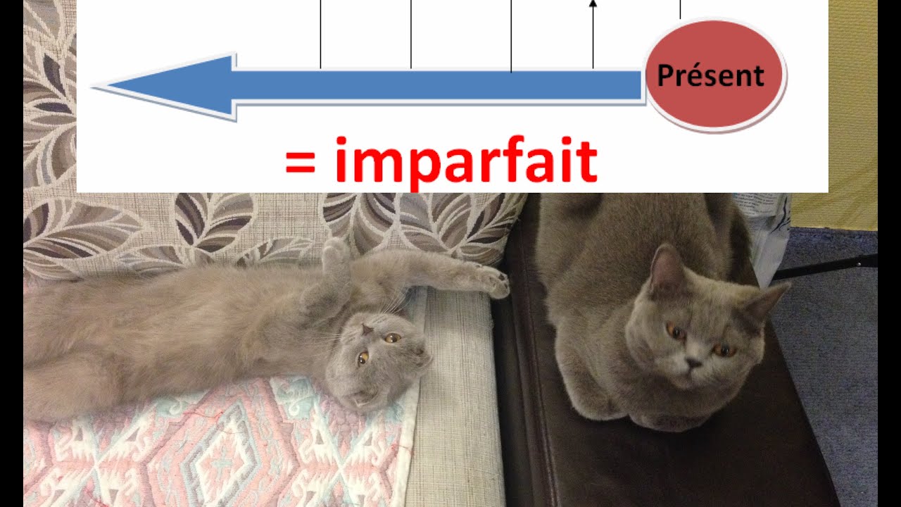 Все времена французского.№1 Présent et Imparfait