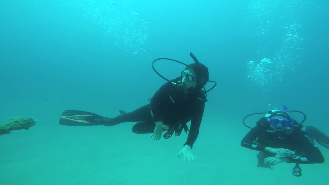 11.05.16 Scubabrothers diving the Museo Atlantico