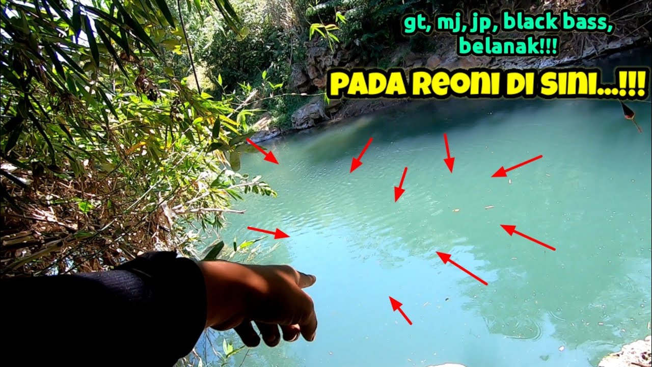 MARKAS BESAR IKAN TERNYATA DISINI || mancing ikan gt dan mangrove jack ada belanak juga