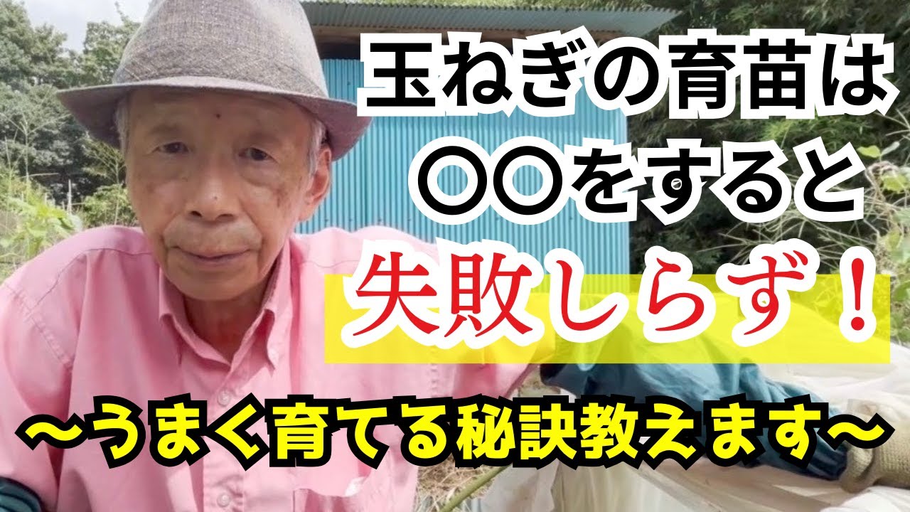 玉ねぎの育苗は〇〇をすると失敗いらず 〜うまく育てる秘訣教えます〜