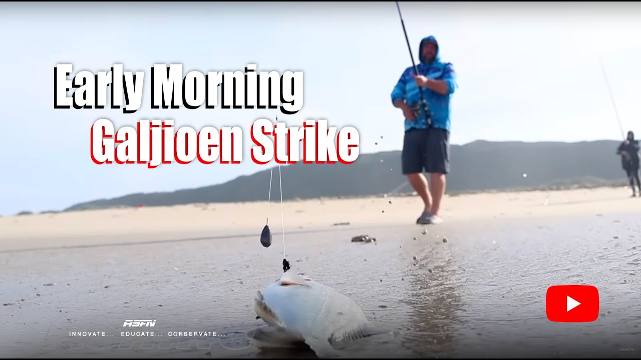 Early Morning Galjoen Strike