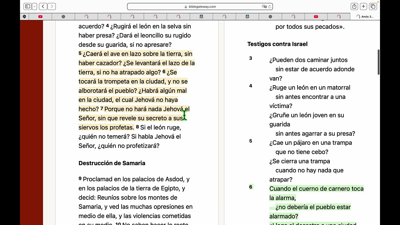 Solo los escogidos pueden discernir