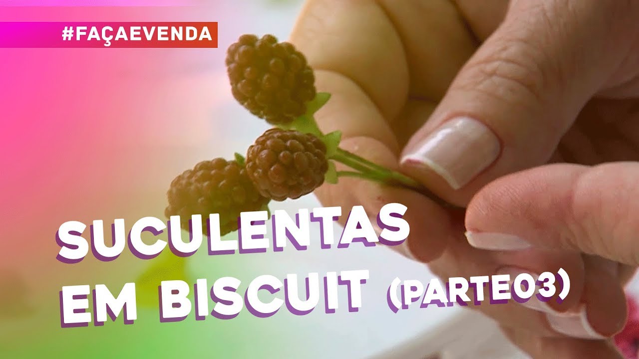 Suculentas em Biscuit por Alessandra Assi (Parte 3)