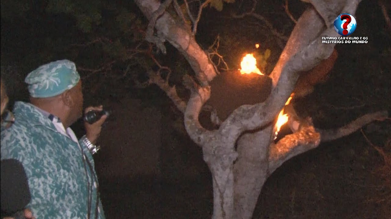 GRITOS, FOGO E  GARGALHADAS NA FLORESTA SOMBRIA DA BRUXA ISABEL