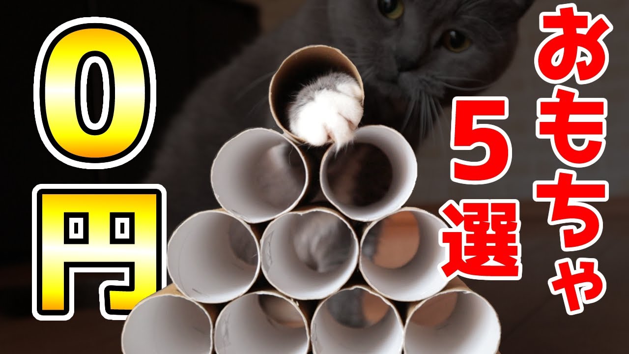 【簡単DIY】猫の0円おもちゃ5選｜トイレットペーパー芯編