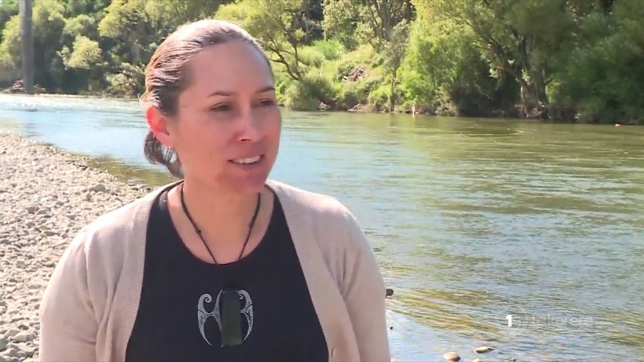 Manawatū River restoration efforts bear fruit