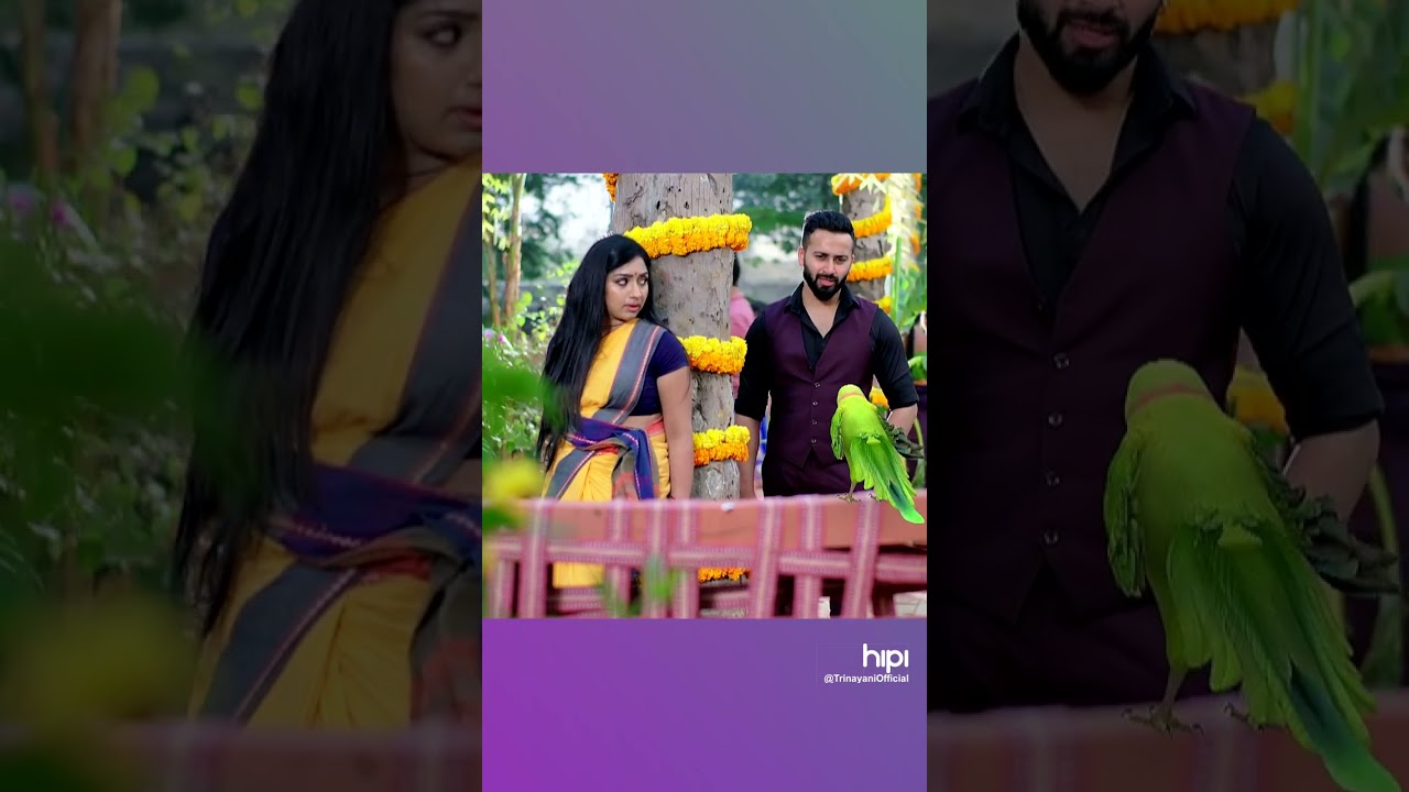 And finally we get to see them together..#ZeeTelugu  #Trinayani #Hipi #HipiKaroMoreKaro