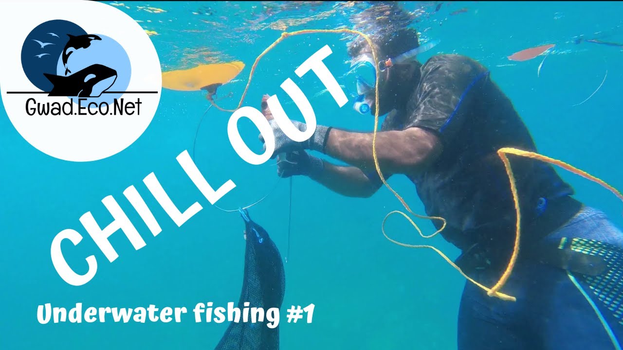 Chill out ! Sortie pêche (spearfishing) à Petit-canal,  Guadeloupe (underwater video)