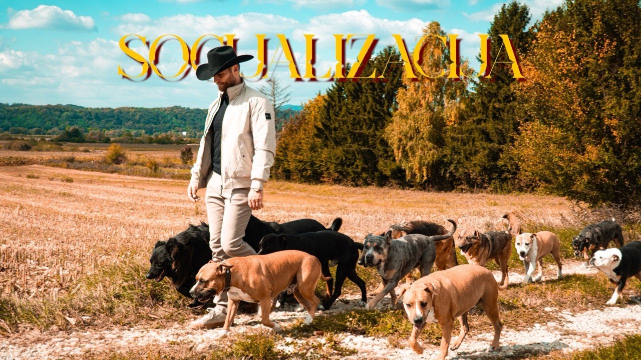 Što je socijalizacija?