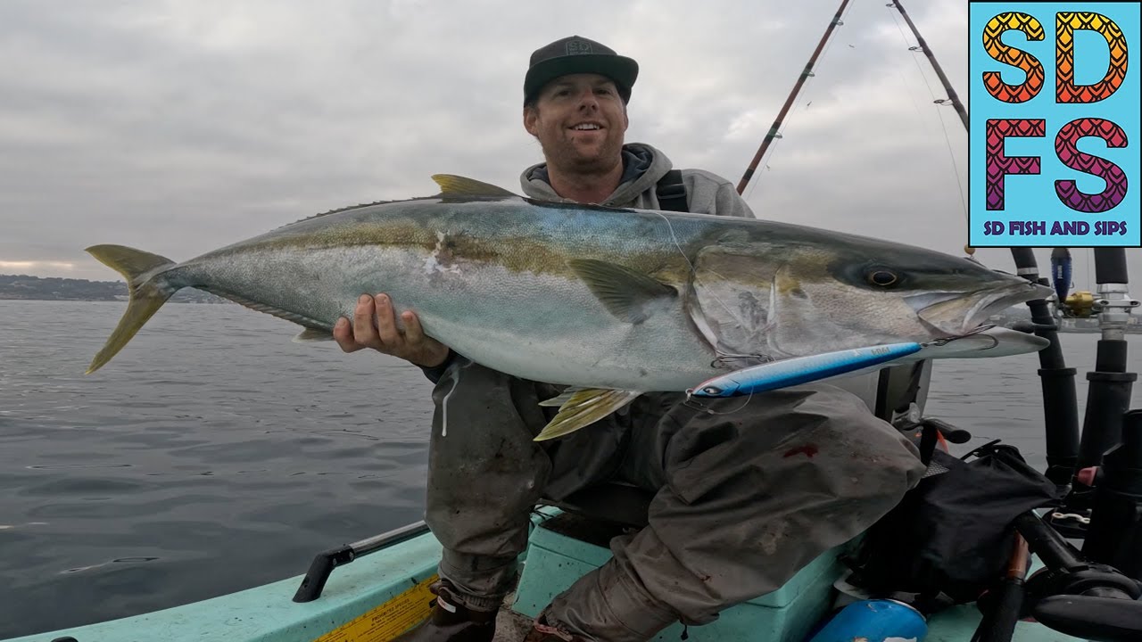 LA JOLLA YELLOWTAIL ATOMIC BLOWUP | Solo Skiff Fishing San Diego 1904 Lure Co Stick Bait 2025 SDFS