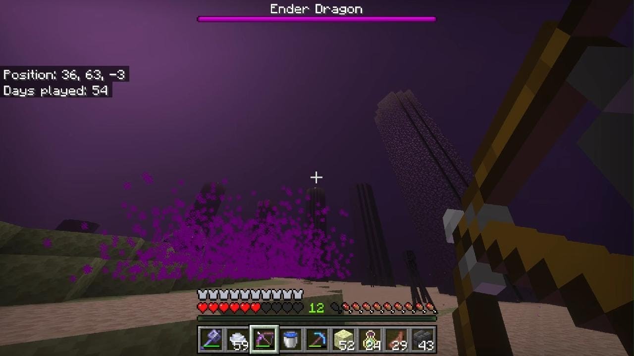 Beating the ender dragon!!!