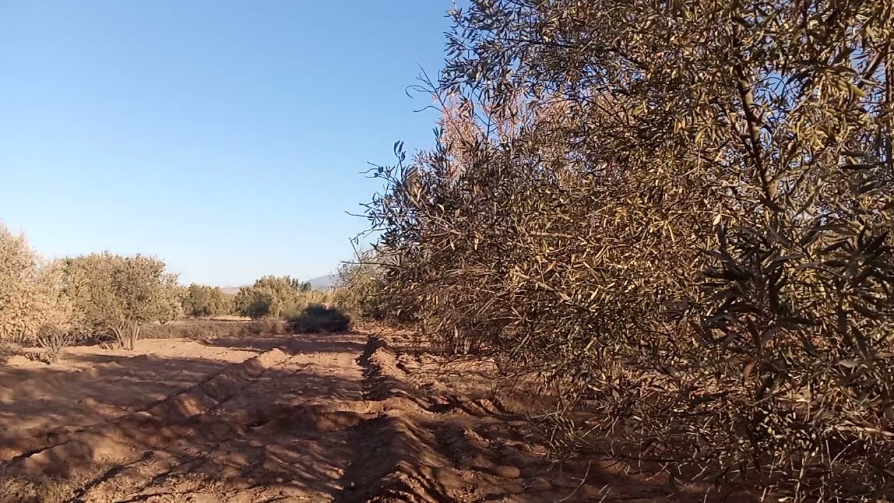terrain A vendre route ourika superfice 1700 mtr mlkiya 0611351868