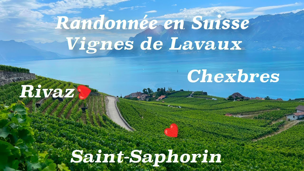 Randonnée en Suisse aux vignes de Lavaux - 4K