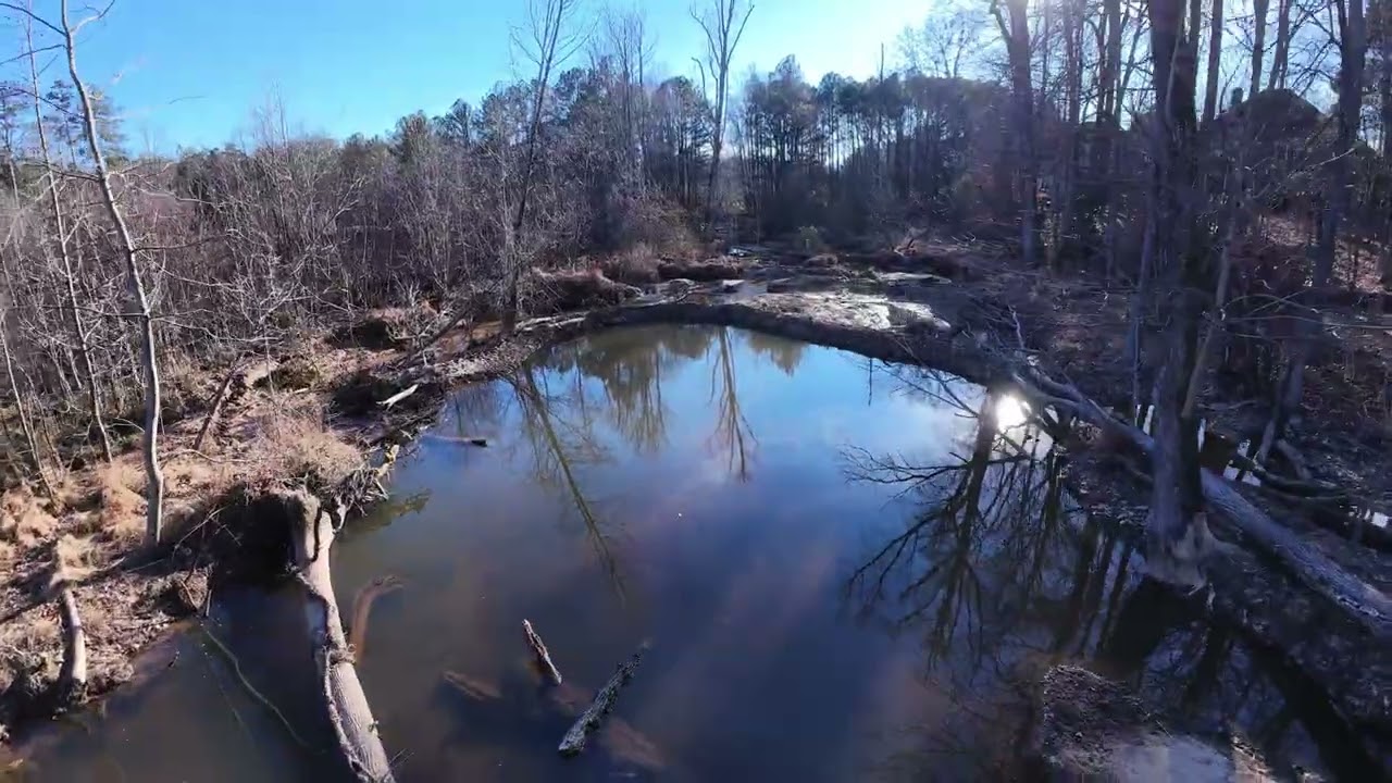 Johns Creek Marsh Avata2 1-19-26 Audio
