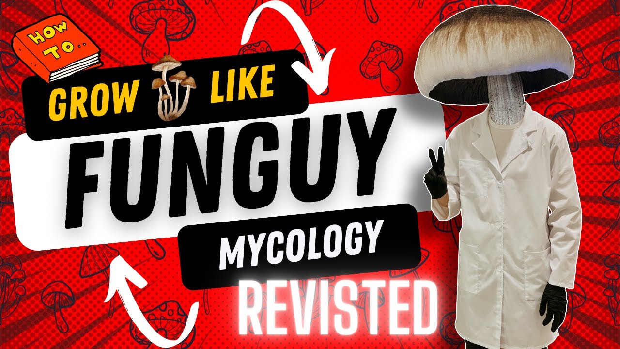 GROW MUSHROOMS LIKE FUNGUY MYCOLOGY REVISTED 🍄 ✨ The MycoGeeky Podcast