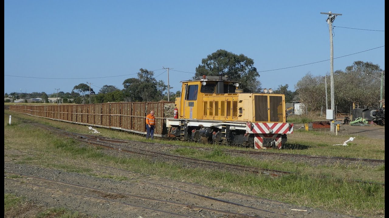 An Afternoon of Sugar Cane Trains at Bundaberg Queensland.