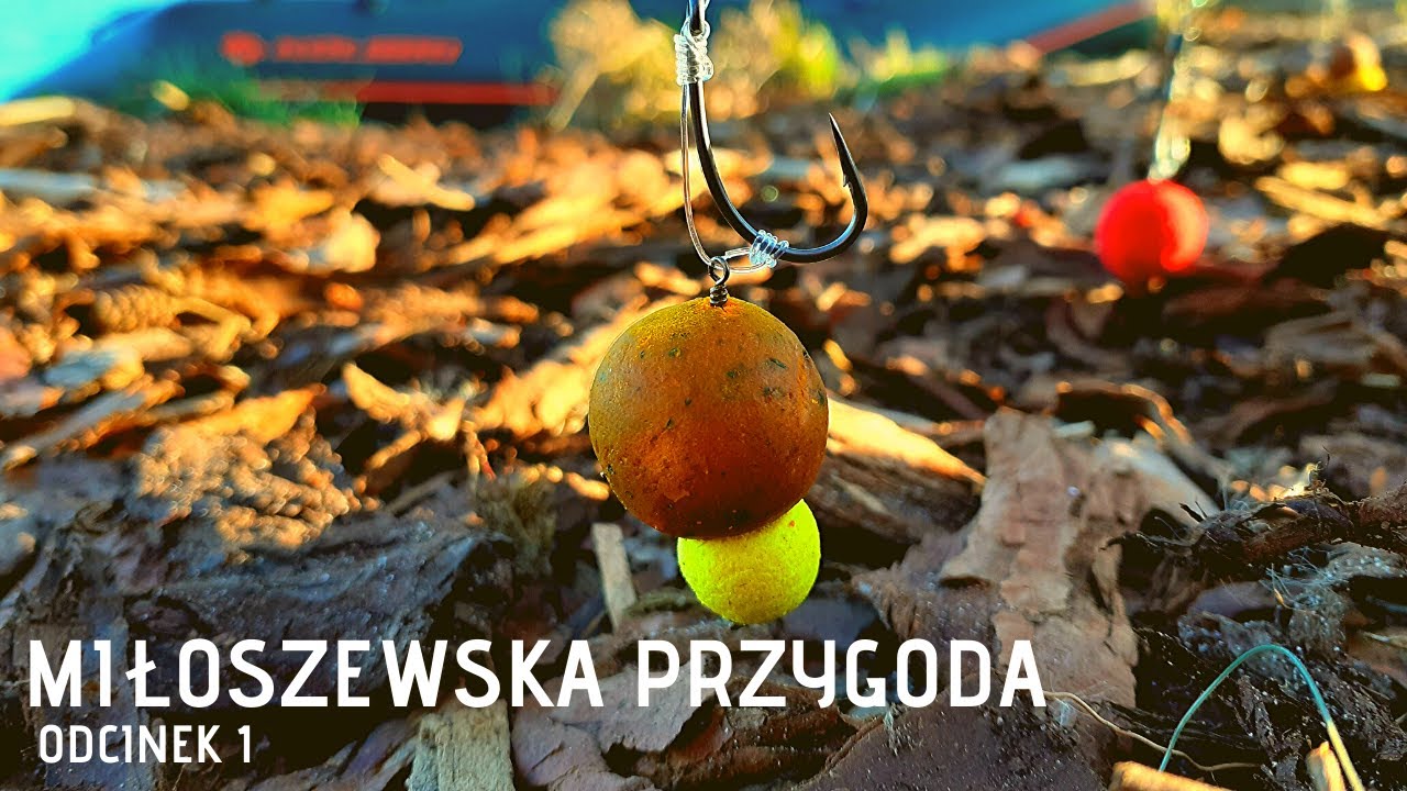 Jezioro Miłoszewskie, historia prawdziwa | VLOG 1 |  #100