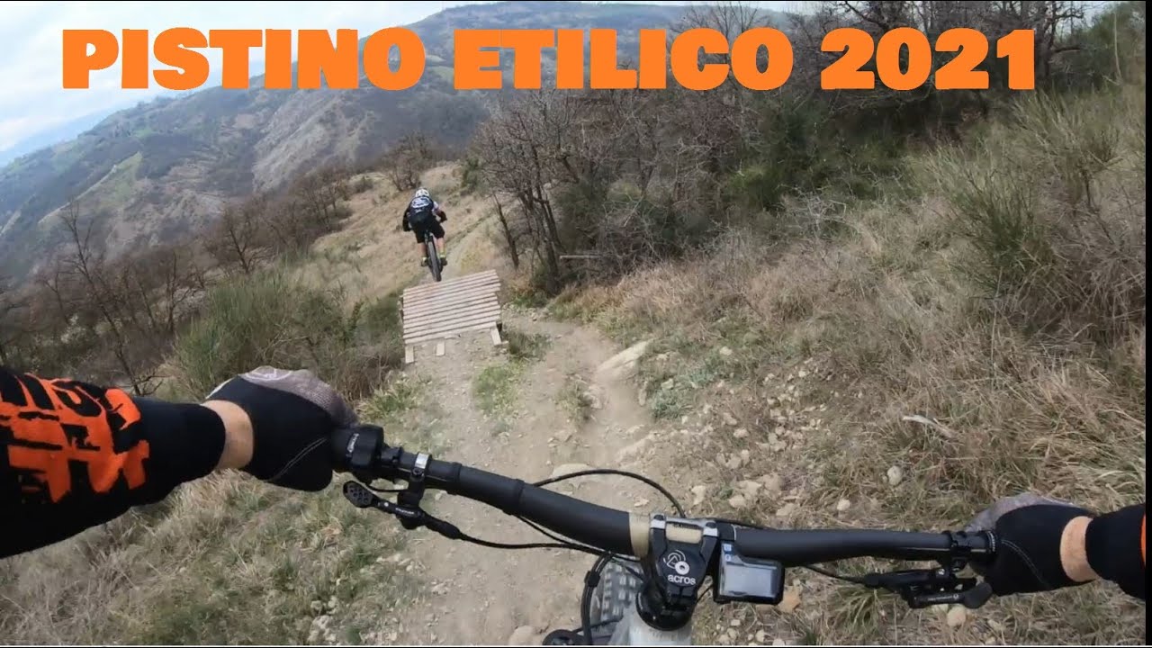 PISTINO ETILICO - CASALGRANDE - EKANO 2021