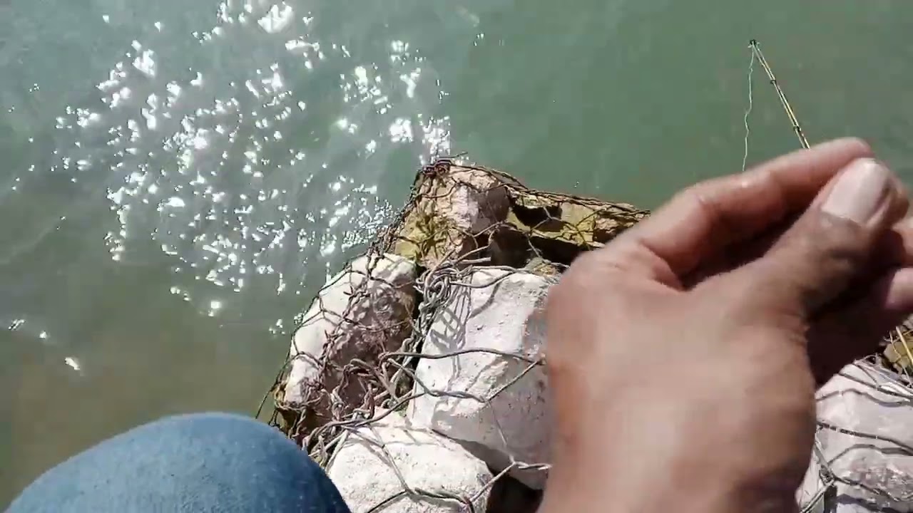 SEPOT MANCING DI GOLDEN FRONT SERU!!!!!!!  #FISHING #IKAN SELINCING