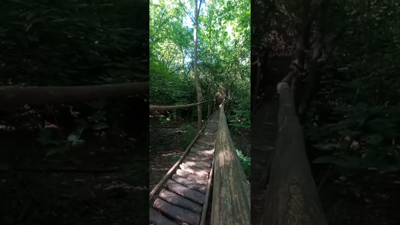 Puente Energetico
