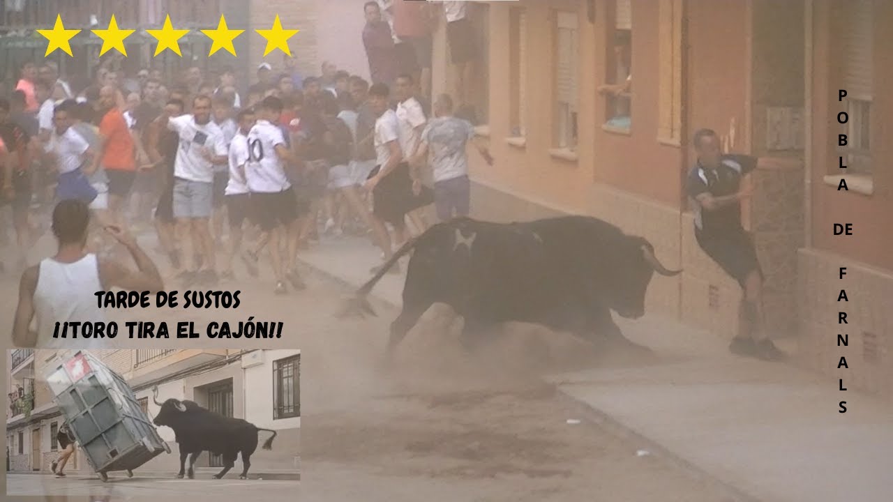 TOROS EN LA POBLA DE FARNALS PENYA TAURINA MORATAILL MES QUE MAI 29/08/2025