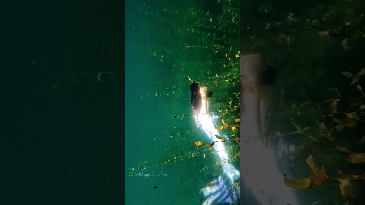 mermaid in the seaweed