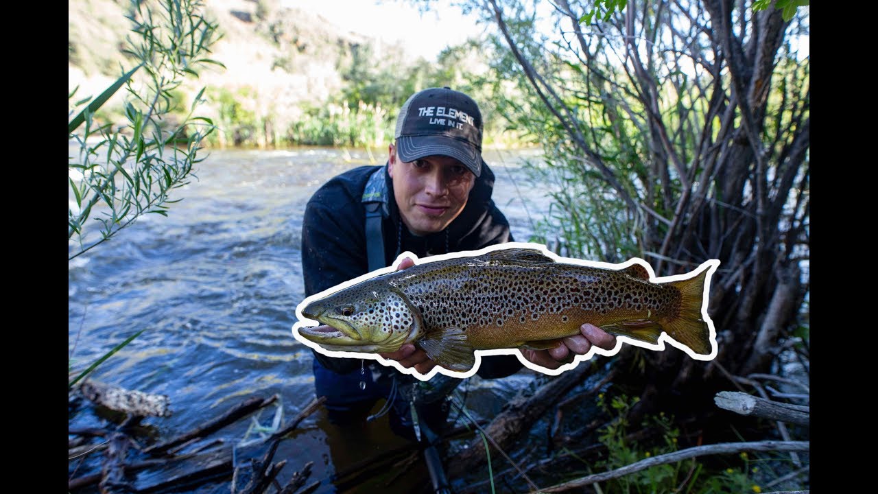 EPIC FIGHT! I Caught a HUGE BROWN TROUT in California!
