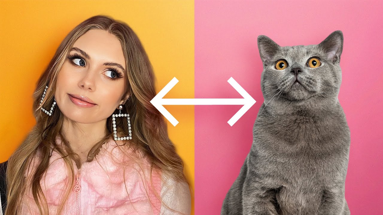 KOT I CZŁOWIEK - ZAMIANA CIAŁ