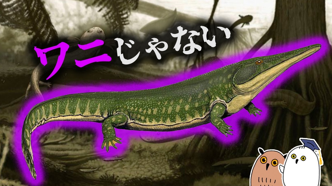 【ゆっくり解説】ワニになるペルム紀の巨大両棲類【 進化論 / 古生物 / 生命の歴史㉓】