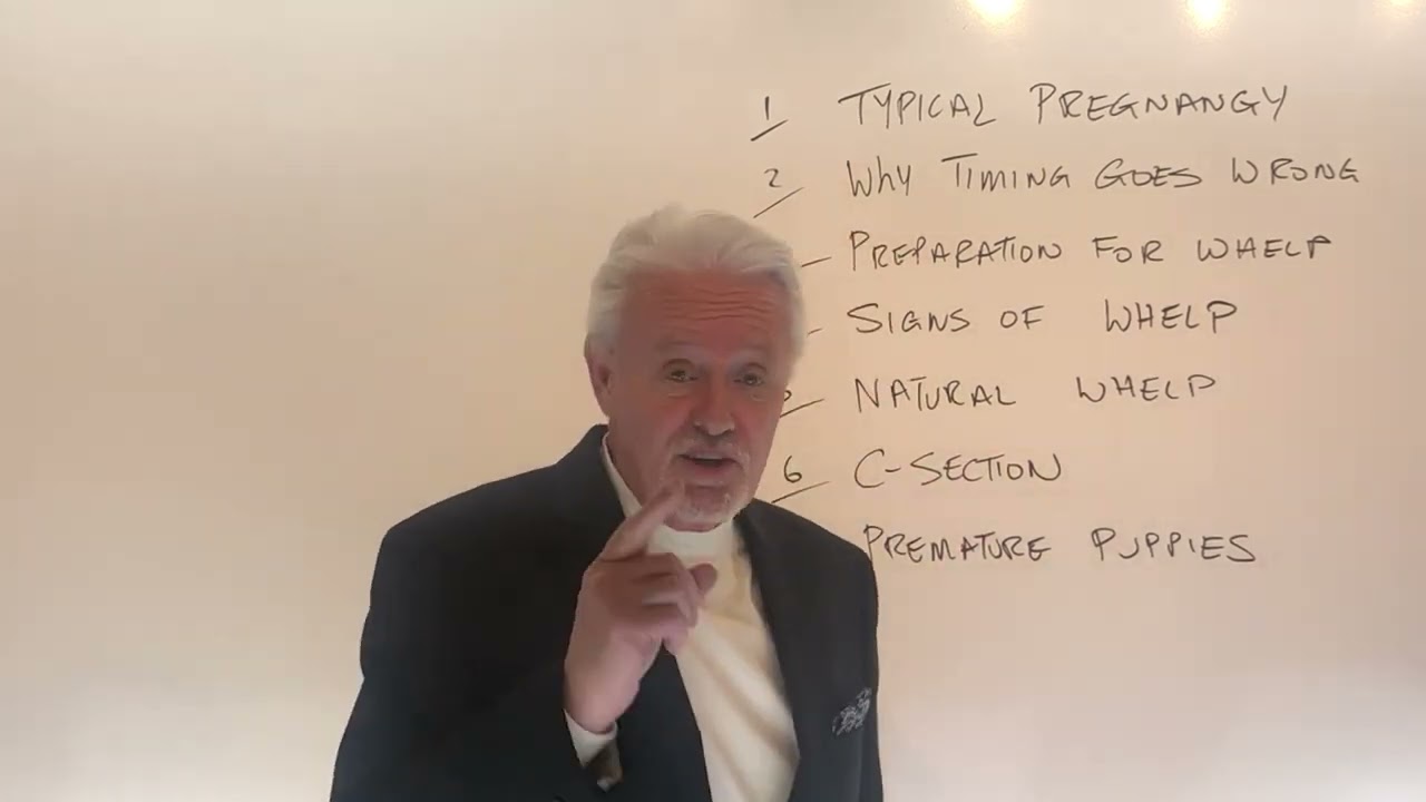 Secrets to Timing Whelp. Don't make a huge mistake!
