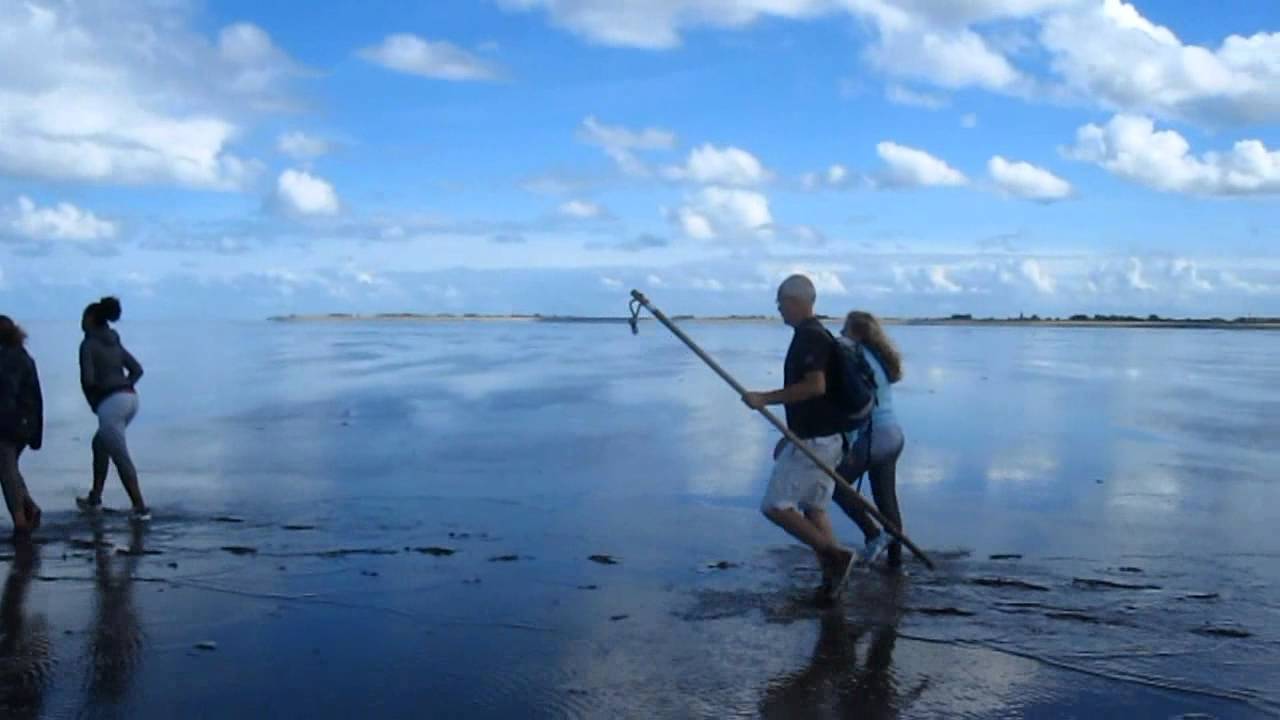 Wadlopen 2012