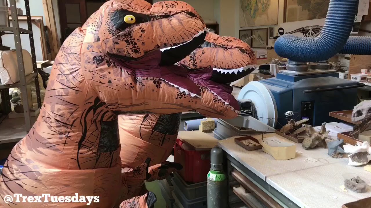 TrexTuesdays welcomes Ben! -A celebration of the Dino Gallery 10 year anniversary!-
