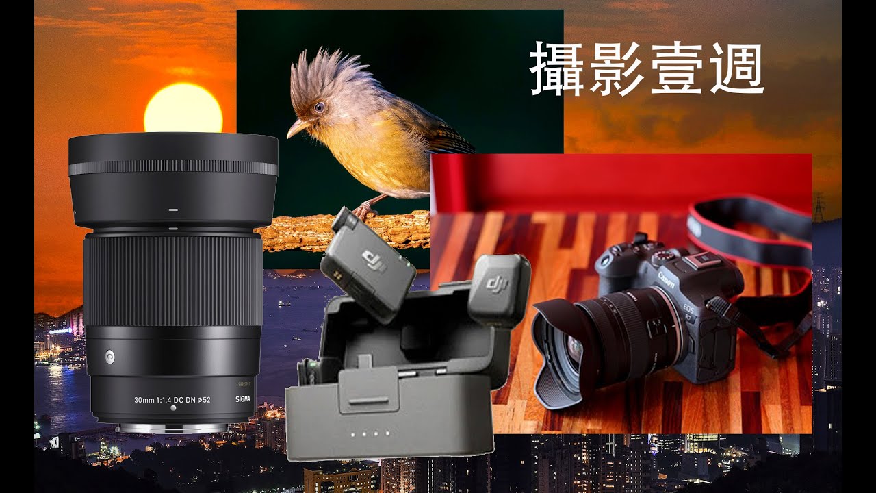 攝影壹週 268. 百花嶺雀鳥, Sigma RF lens, Tamron 11-20 f2.8 R mount, Dji Mic mini
