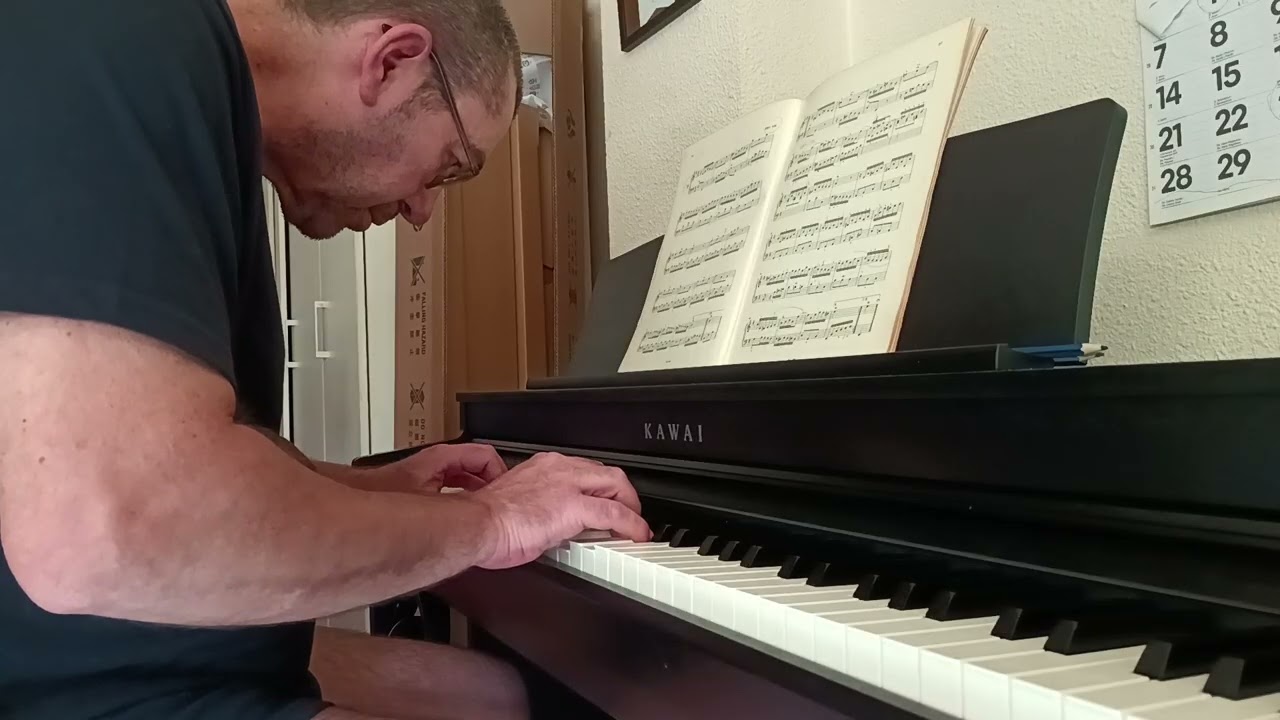 3 professionals Bach