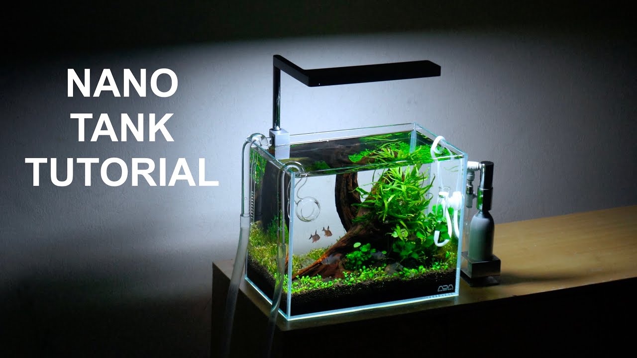 How to Make a Nano Nature Aquarium Style Aquascape