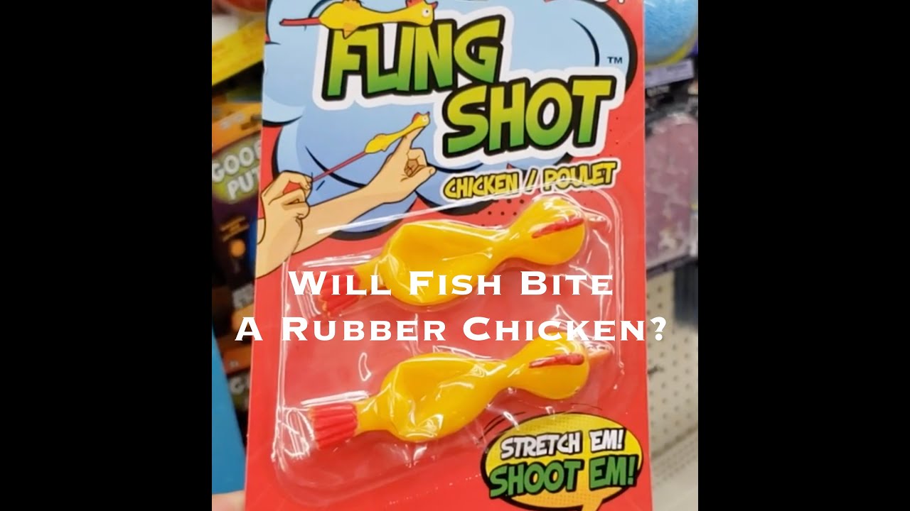 Fishing Challenge! Will Fish Bite A Rubber Chicken?