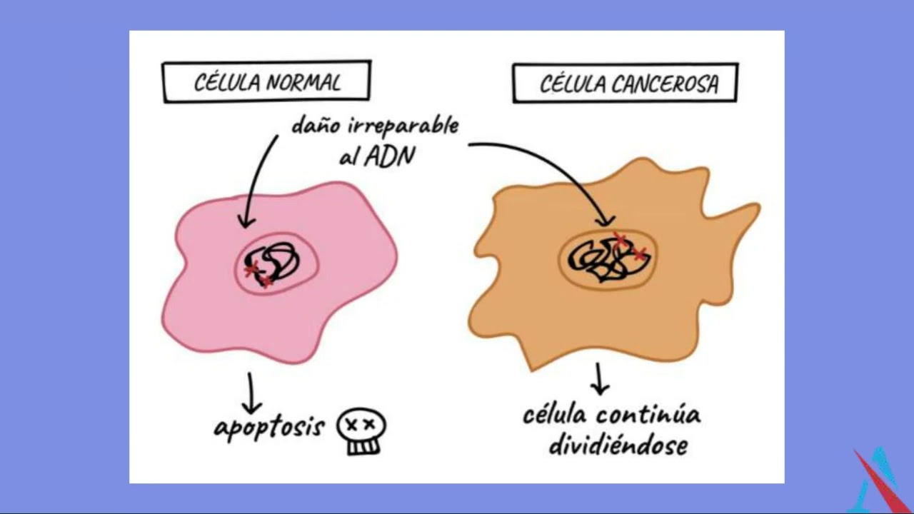 Identificación del proceso de desarrollo tumoral - Curso de Laboratorio Clínico y Biomédico