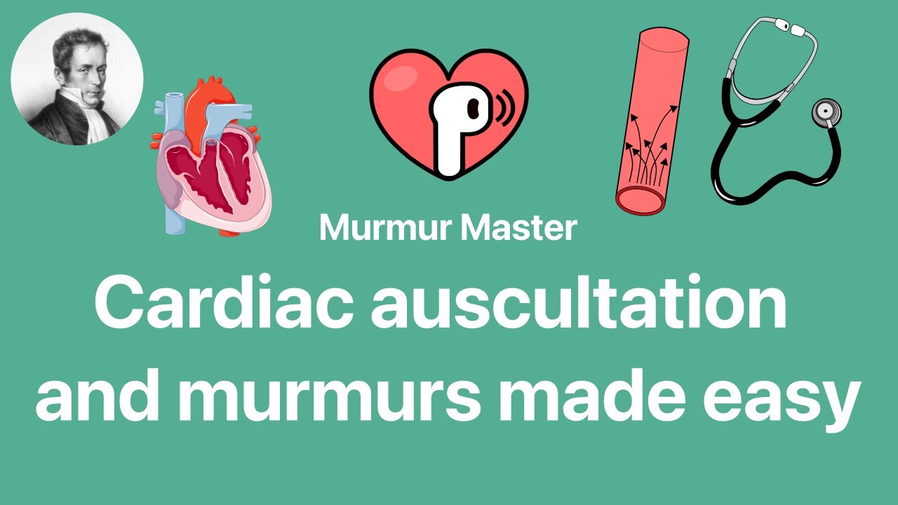 Cardiac murmurs in 13 minutes