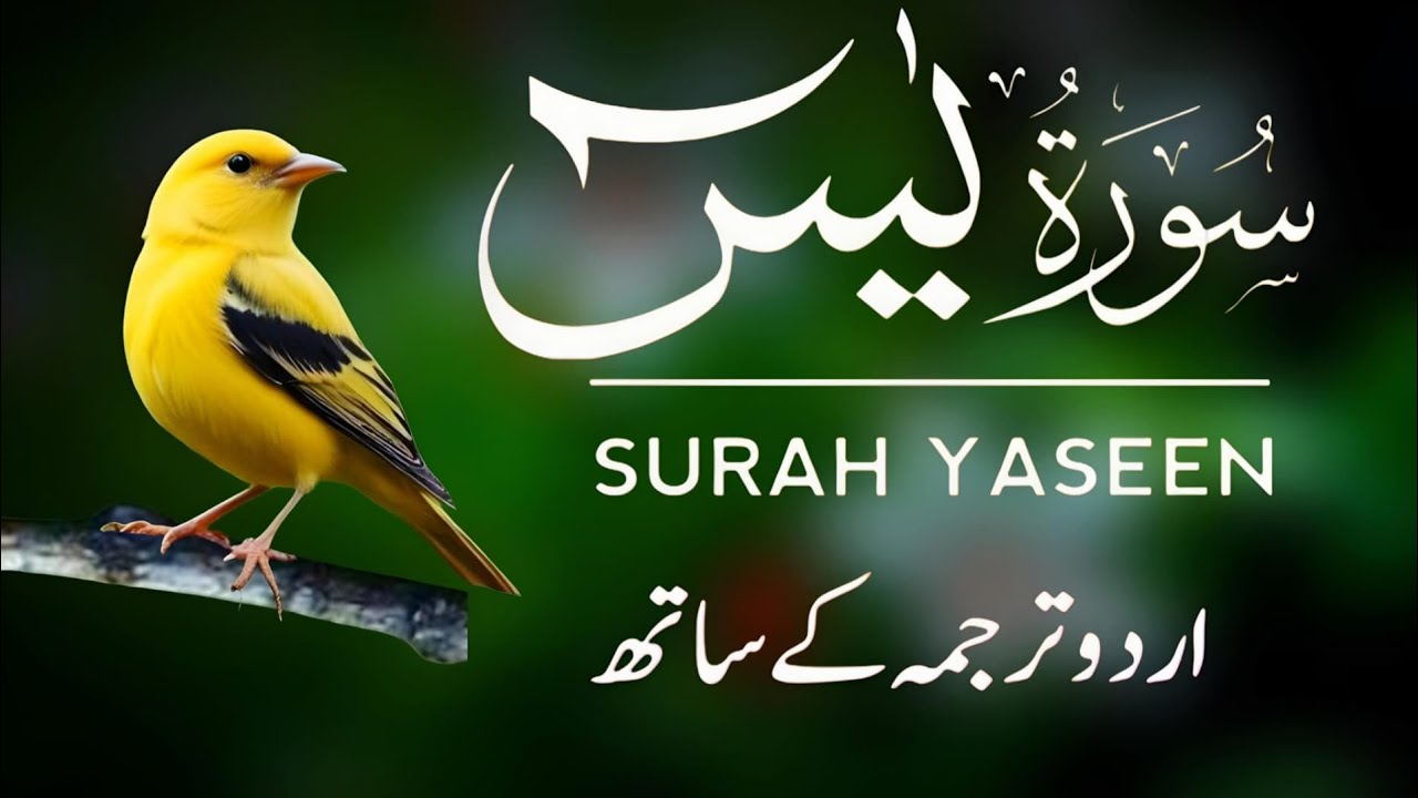 Surah Yaseen | Surah Yaseen With Urdu Translation | Episode - 666