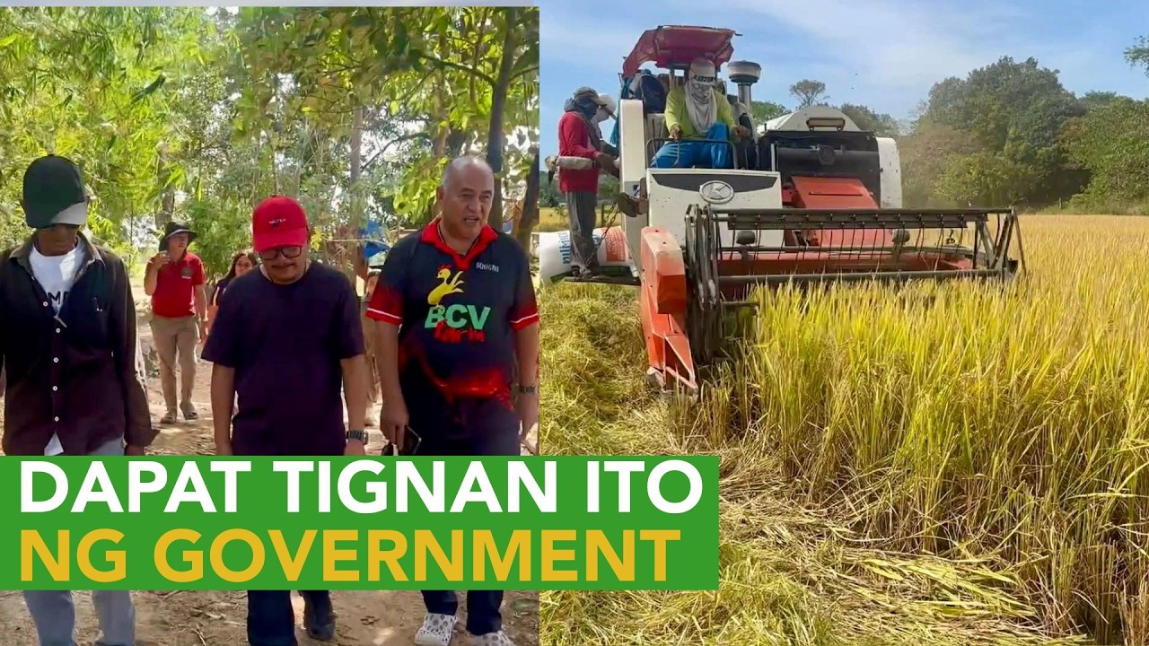 Kaya Kumita ng 10 Million per Cropping sa 100 Hectares Rice Farming - Discover How!